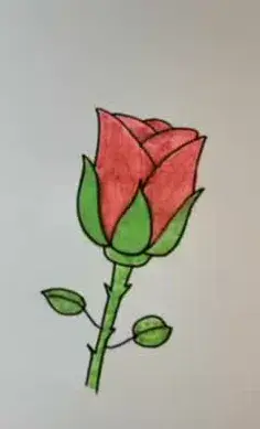 عکس نقاشی گل غنچه ساده