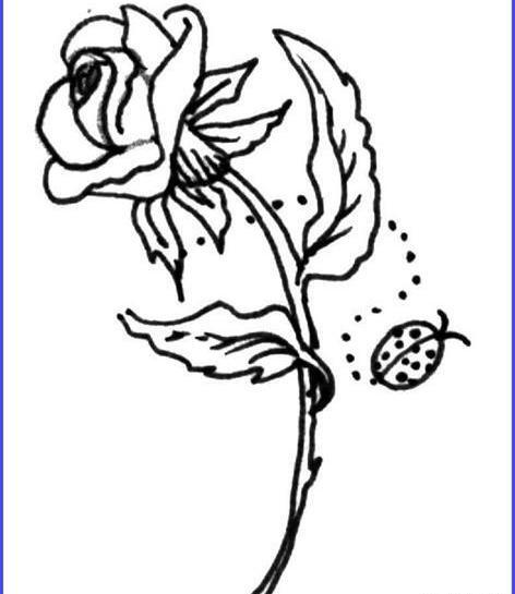 عکس نقاشی گل و غنچه کودکانه