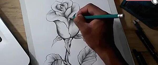 عکس نقاشی گل لاله سیاه سفید