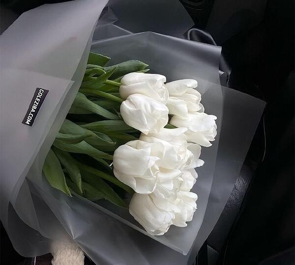 عکس نقاشی گل لاله سیاه سفید