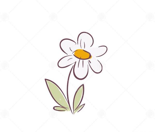 عکس نقاشی گل لاله سیاه سفید