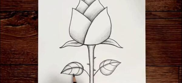 عکس نقاشی دسته گل سیاه قلم