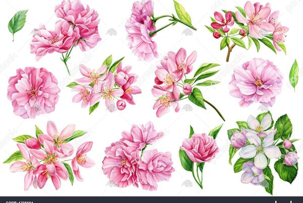 عکس نقاشی گل های ژاپنی