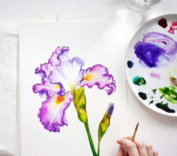 عکس نقاشی در مورد گل زعفران