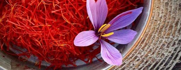 عکس نقاشی در مورد گل زعفران