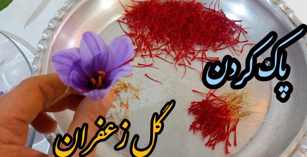 عکس نقاشی در مورد گل زعفران