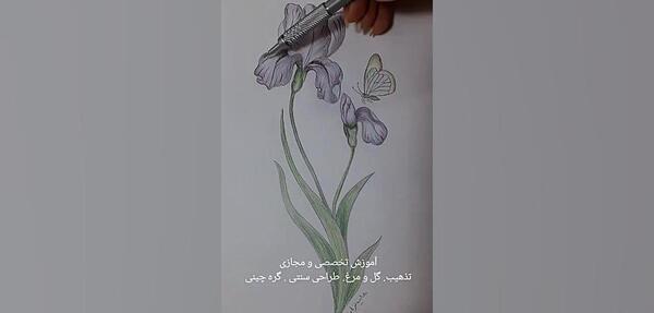 عکس نقاشی آبرنگ گل زنبق