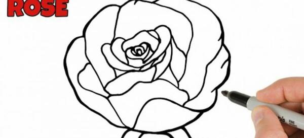 عکس نقاشی گل رز قرمز آسان