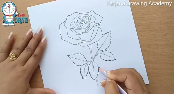 عکس نقاشی گل رز آبی با مداد رنگی