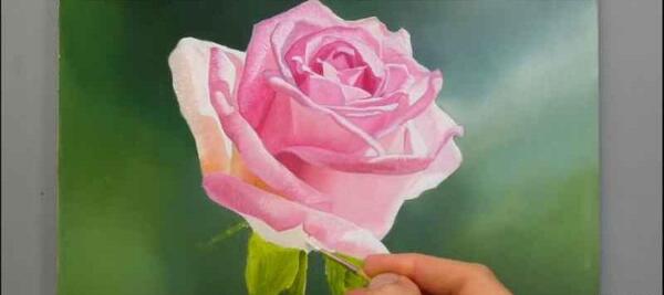 عکس نقاشی رنگ روغن گل داوودی