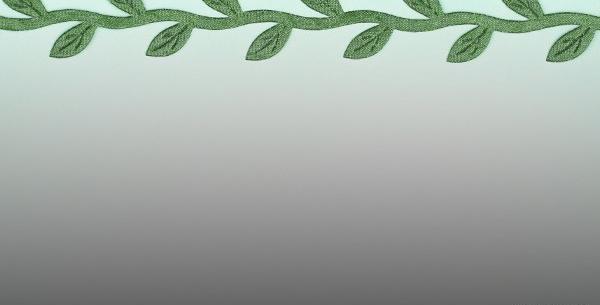 عکس نقاشی گل حاشیه برگ