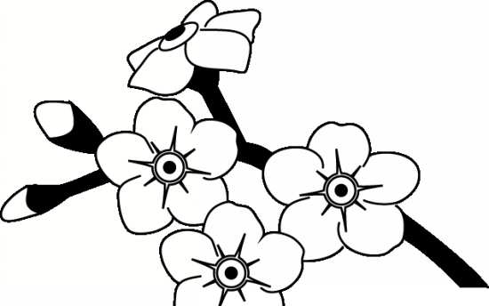 عکس نقاشی یک گل پنج برگ