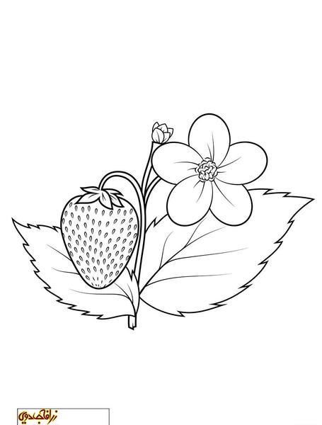 عکس نقاشی دسته گل برای کودکان