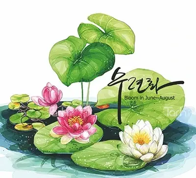 عکس نقاشی گل لاله آبی