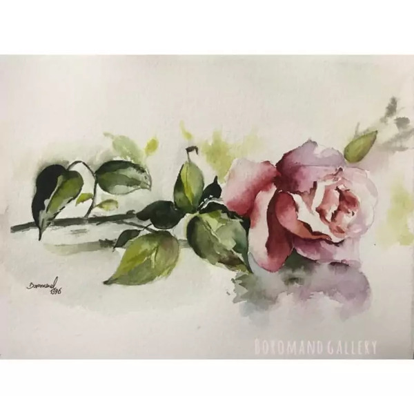 عکس نقاشی آبرنگ گل رز