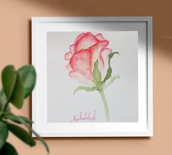 عکس نقاشی آبرنگ گل رز