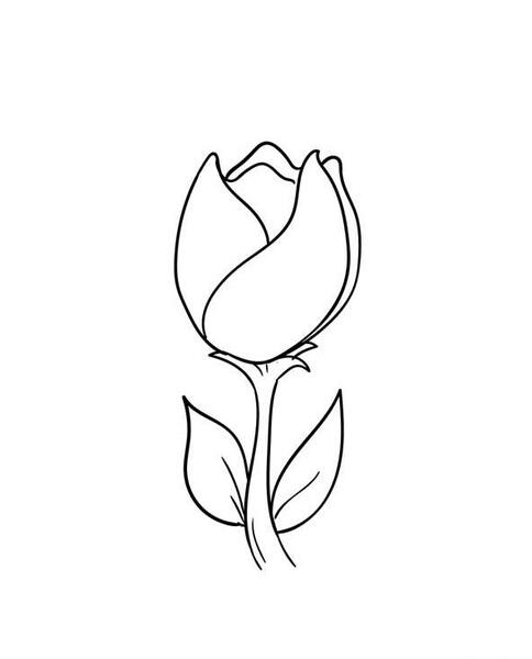 عکس نقاشی گل آسون قشنگ