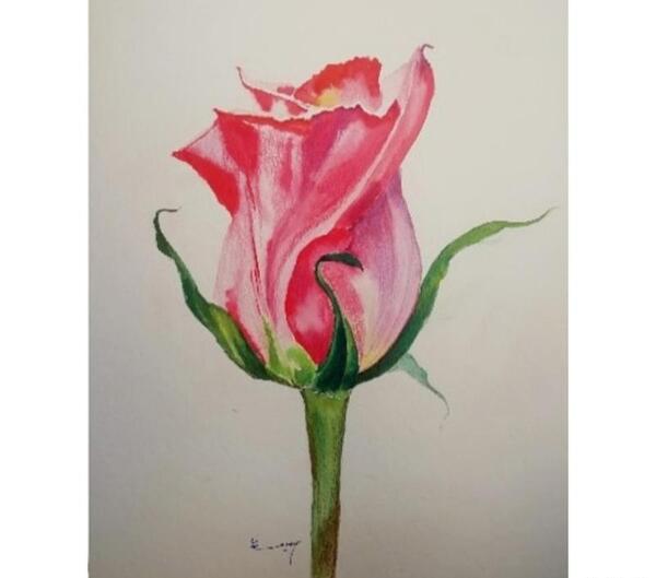 عکس نقاشی گل آسان با آبرنگ