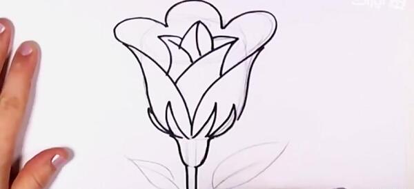 عکس نقاشی گل زیبا و ساده بدون ساقه