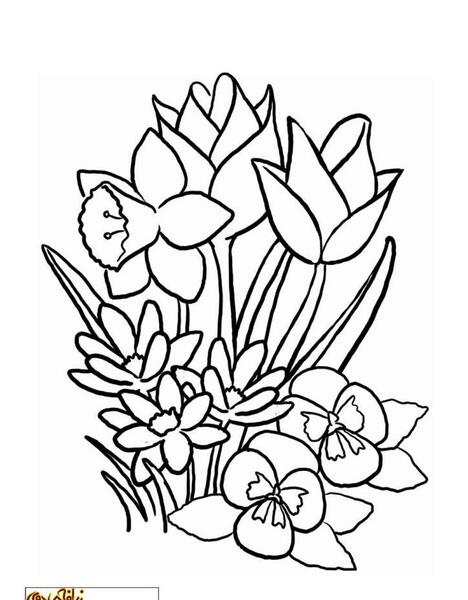 عکس نقاشی گل کودکانه برای رنگ آمیزی
