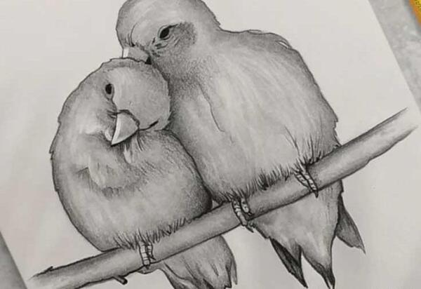 عکس نقاشی سیاه قلم برای پایه هفتم