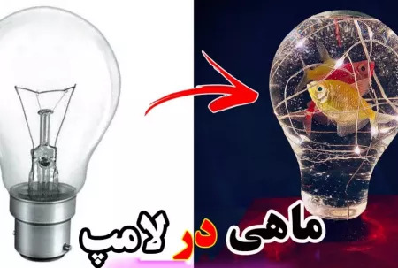 عکس نقاشی سیاه قلم ماهی در لامپ
