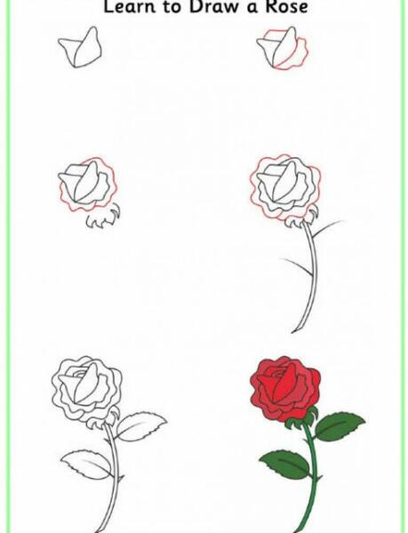عکس نقاشی گل رز با سیاه قلم