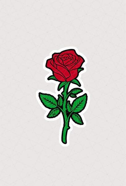 عکس نقاشی گل رز با سیاه قلم