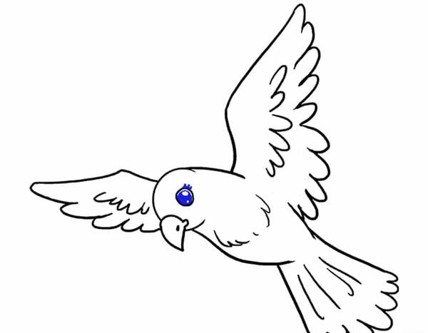 عکس نقاشی کبوتر با سیاه قلم