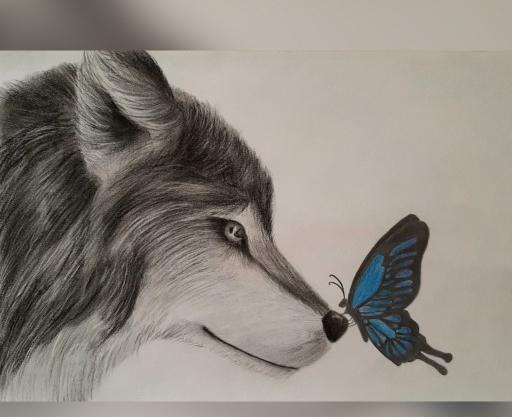 عکس نقاشی سیاه قلم با مداد شمعی