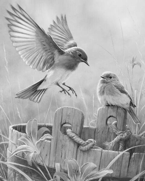 عکس نقاشی سیاه قلم منظره در دایره