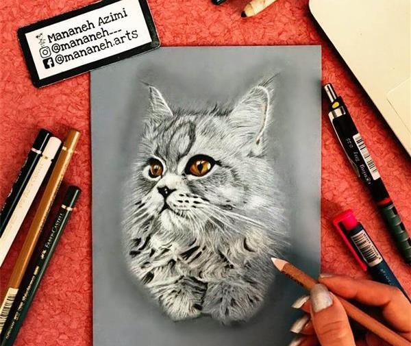عکس نقاشی سیاه قلم از حیوانات ساده