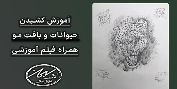 عکس نقاشی سیاه قلم از حیوانات ساده