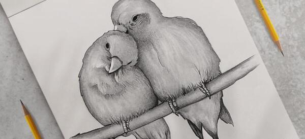 عکس نقاشی با سیاه قلم جدید