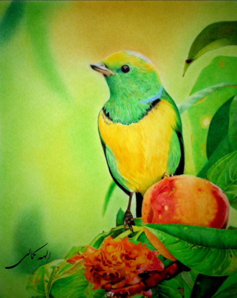 عکس نقاشی سیاه قلم پرنده