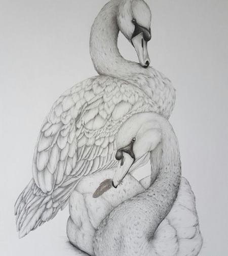 عکس نقاشی سیاه قلم پرنده