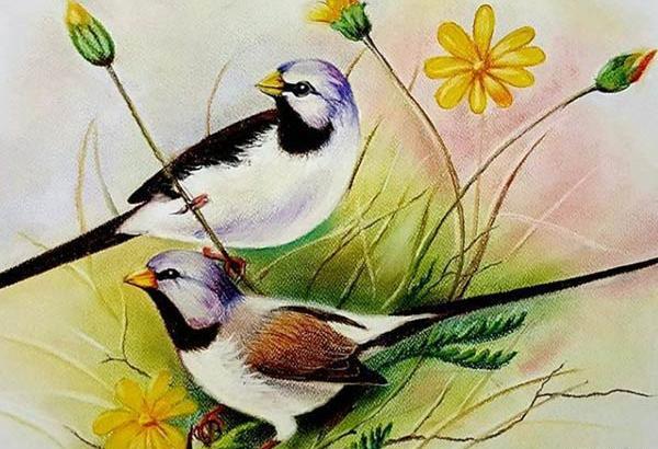 عکس نقاشی های مدرن با مداد رنگی