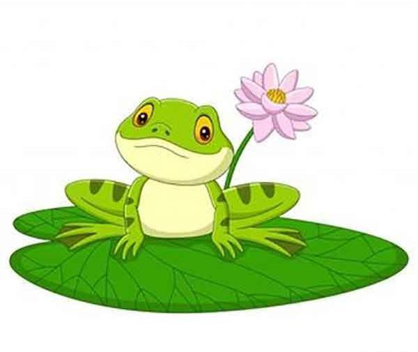 عکس نقاشی کودکانه قورباغه و ماهی