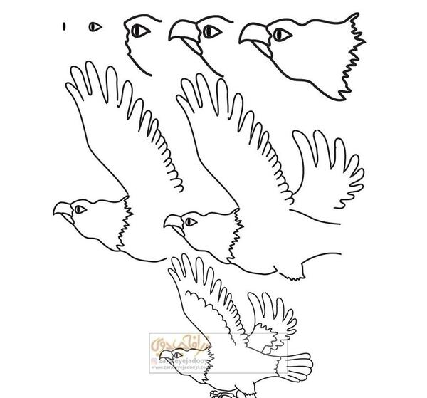 عکس نقاشی کودکانه عقاب ساده