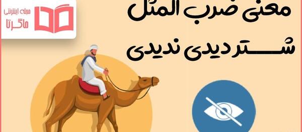 عکس نقاشی کودکانه ضرب المثل شتر دیدی ندیدی