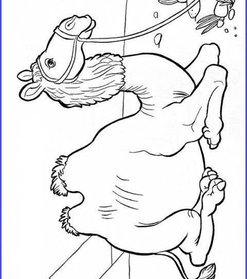 عکس نقاشی کودکانه شتر ساده