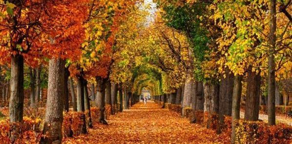 عکس نقاشی کودکانه در مورد جوجه را اخر پاییز میشمارند