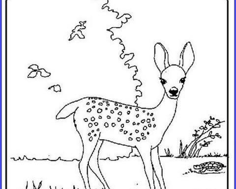 عکس نقاشی کودکانه آهو نشسته