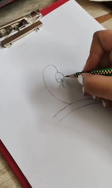 عکس نقاشی فانتزی طوطی برزیلی