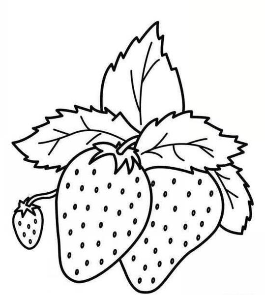 عکس نقاشی توت فرنگی فانتزی کودکانه