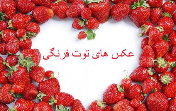 عکس میوه نقاشی توت فرنگی فانتزی