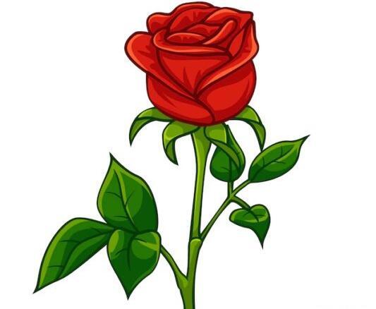 عکس نقاشی ساده و زیبا پسرانه گل