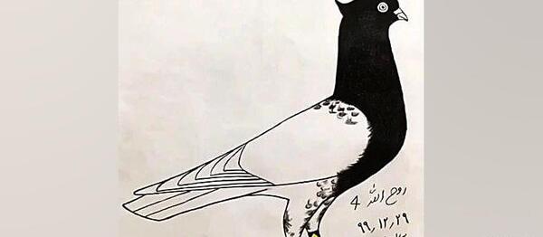 عکس نقاشی کبوتر ساده سیاه