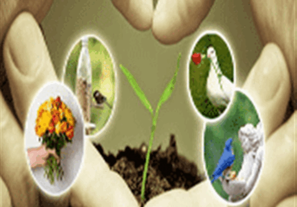 عکس نقاشی ساده برای ضرب المثل هرچه کنی به خود کنی