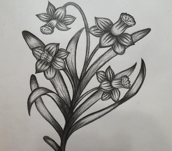 عکس نقاشی ساده و آسان سیاه سفید